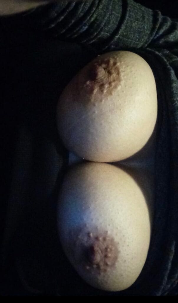 35’lik Çocuklu Milf